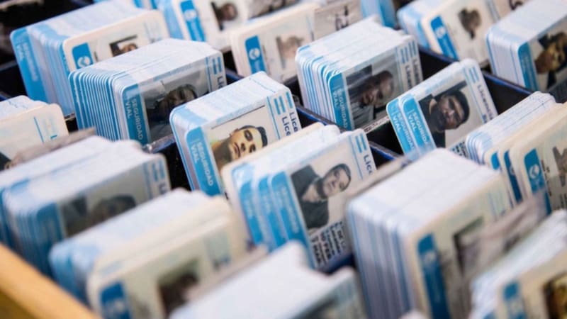 Licencias de conducir listas para ser entregadas.