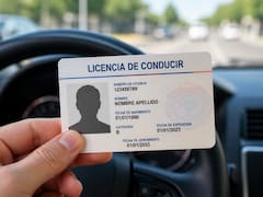 Medida oficial | El Gobierno suspende la licencia de conducir a quienes no presenten estos dos documentos obligatorios