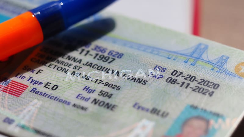 Cinco estados emiten este tipo de Licencia de Conducir. Conoce sus características y quiénes pueden solicitarla.