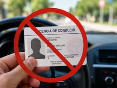 Oficial | Gobierno suspende definitivamente las licencias de conducir de las personas que no demuestren ser ciudadanos legales