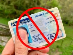 Fin de la licencia de conducir | El Gobierno identificará con una nueva marca a los conductores sin visa y podrían ser sancionados