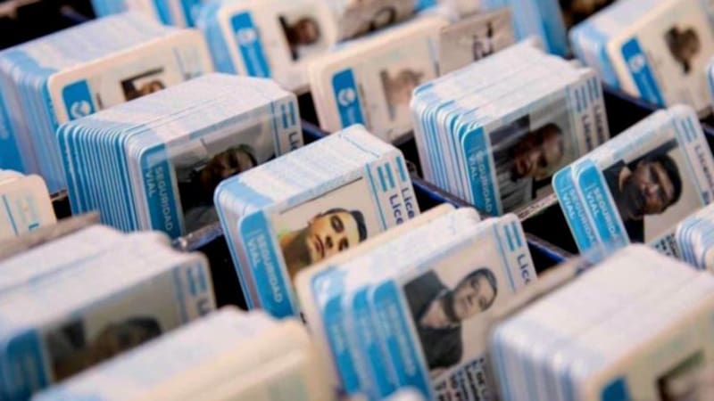 Licencia de conducir argentina