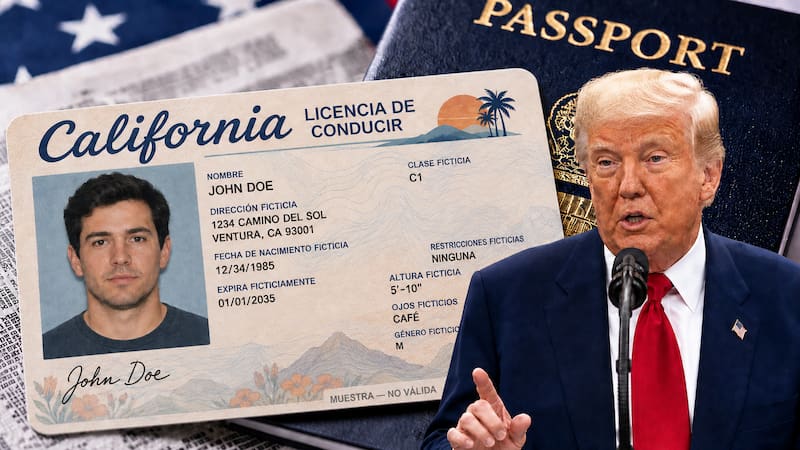 Aunque se trata de cuatro ciudades, los requisitos son establecidos por los gobiernos de Illinois, California, Nueva York y Florida, respectivamente.
