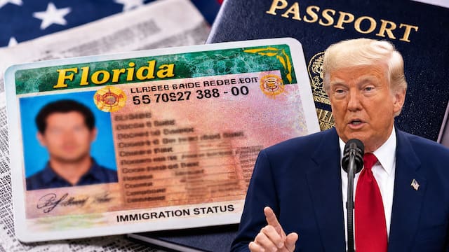 Medida general | Los Ángeles, Miami, Dallas, Nueva York y Chicago prohibirán la licencia de conducir a quienes no puedan demostrar que son ciudadanos legales