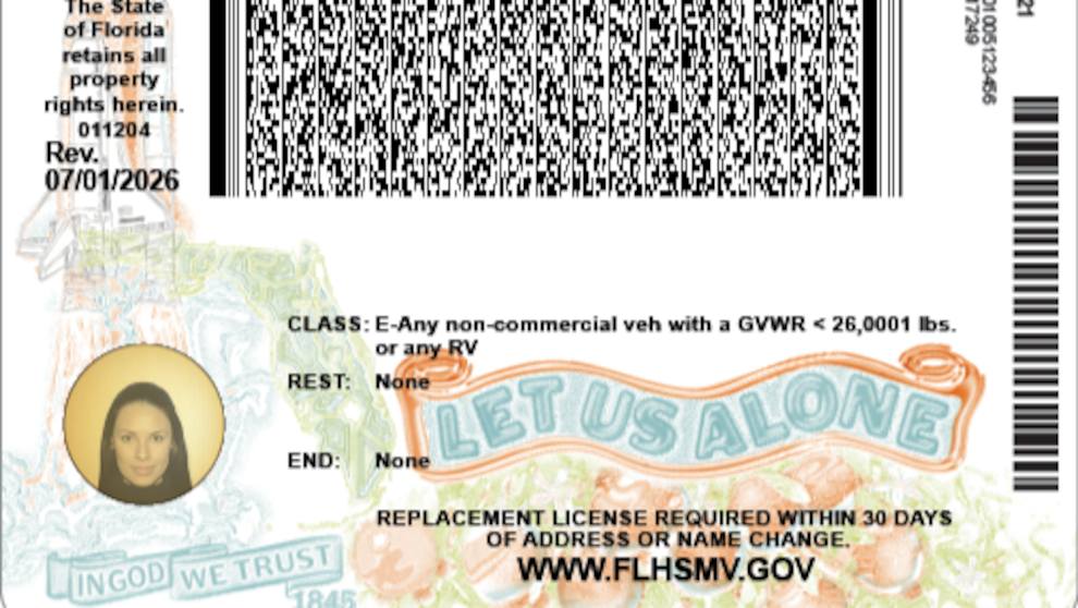 Color Design Cards With Examples Florida driver’s license changes: what the new design just launched ...