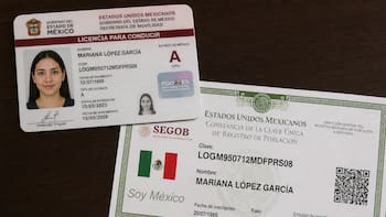 El DOF lo confirmó: los datos de la licencia de conducir irán directo a RENAPO para la nueva identificación nacional