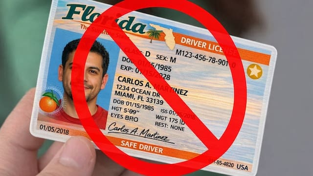 Oficial y confirmado | El Gobierno cambiará todas las licencias de conducir en 2027 y anunció que ahora este será su nuevo uso
