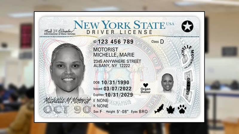 El proceso para obtener la licencia de conducir en Nueva York exige demostrar identidad, fecha de nacimiento y residencia dentro del estado. Foto: Archivo.