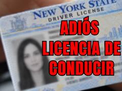 Información oficial | El Gobierno dará de baja la licencia de conducir de quienes pasaron en rojo un semáforo o manejaron con el celular entre 2024 y 2026, si tenían más infracciones