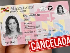 Cancelan la licencia de conducir a mayores de 40 años que no cumplan este requisito