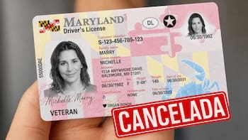 Cancelan la licencia de conducir a mayores de 40 años que no cumplan este requisito