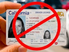 Es oficial | El DMV revisará caso por caso y revocará una por una las licencias de conducir de todas las personas que ya no cumplan este requisito