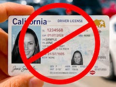 Confirmado | La TSA no puede leer estas licencias de conducir: cómo reclamar el reemplazo sin costo