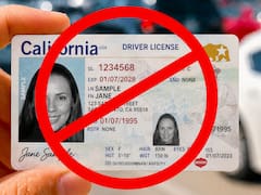 Es oficial | El Gobierno confirmó que estas licencias perdieron toda la validez que tenían: serán rechazadas en controles y verificaciones
