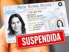 Es un hecho | Por orden del Gobierno, quitarán las licencias de conducir de todas las personas que no hayan cedido el paso cuando debían