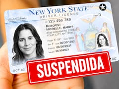 Oficial | Por orden del Gobierno, revisarán caso por caso y quitarán la licencia de conducir a quienes hayan hecho esto en el auto