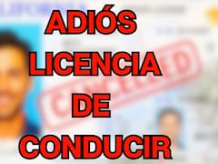 Confirmado | Nueva York, Los Ángeles, Houston, San Antonio y Chicago negarán la licencia de conducir a todas las personas que no puedan presentar este documento