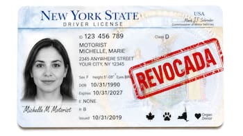 Es oficial | Estados Unidos revoca las licencias de conducir de todas las personas tengan este papel clave vencido, incluso si son ciudadanos legales