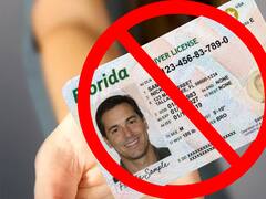 DeSantis Signed It and It’s Now in Effect: What Florida’s HB 991 Law Means for Driver’s Licenses