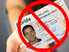 Información oficial confirmada | El Gobierno retiene licencias de conducir a todos los que hayan pasado un semáforo en rojo y hayan cometido otras infracciones acumuladas
