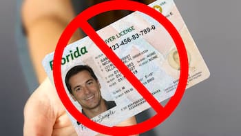 Información oficial confirmada | El Gobierno retiene licencias de conducir a todos los que hayan pasado un semáforo en rojo y hayan cometido otras infracciones acumuladas