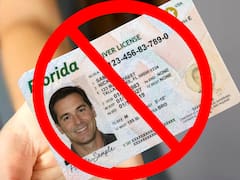Oficial | Cambia la ley y a partir del mes que viene todas estas personas tendrán que tramitar otra licencia de conducir o no podrán circular