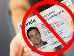 Anuncio oficial de Florida | El FLHSMV cancelará en mayo la licencia de conducir de todas las personas que hayan demorado este trámite con su documento