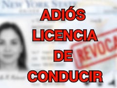 Es oficial | El Gobierno suspende una por una las licencias de conducir de todas las personas que no cedan el paso y tengan más infracciones