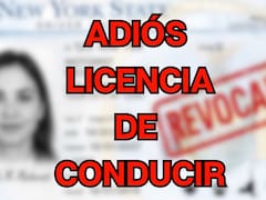 Oficial | Houston, Dallas, Los Ángeles, Nueva York y Phoenix prohibirán la licencia de conducir a quienes no puedan presentar este documento