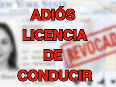 Oficial | El Gobierno anunció que quitará la licencia de conducir a todas personas que pasaron el semáforo en rojo más de una vez si quedó registrado