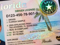 Oficial y confirmado | Florida anunció nuevos cambios en todas las licencias de conducir y las actuales ya no podrán ser renovadas