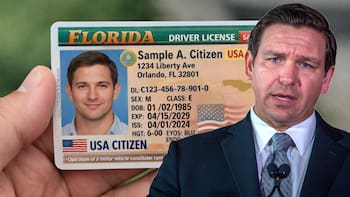 Cambia las licencias de conducir en Florida: Ron de Santis firmó una nueva ley que afectará a todos los inmigrantes y residentes