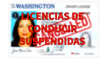 Confirmado | Por orden del Gobierno, analizarán caso por caso y quitarán la licencia a quienes hayan excedido el límite de velocidad y acumulen infracciones
