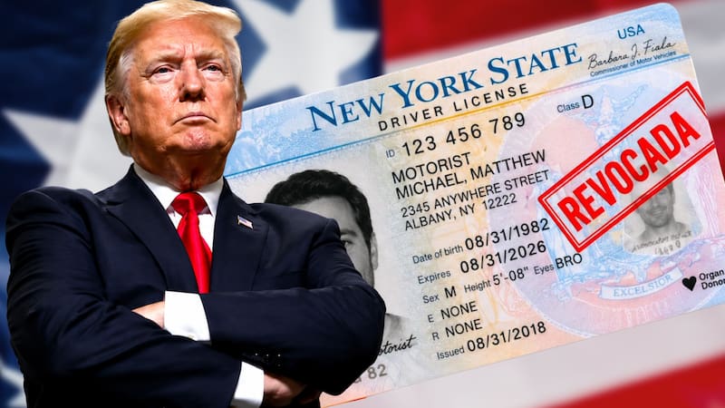 El DMV de Nueva York establece reglas en cuanto quiénes pueden acceder a una renovación.
