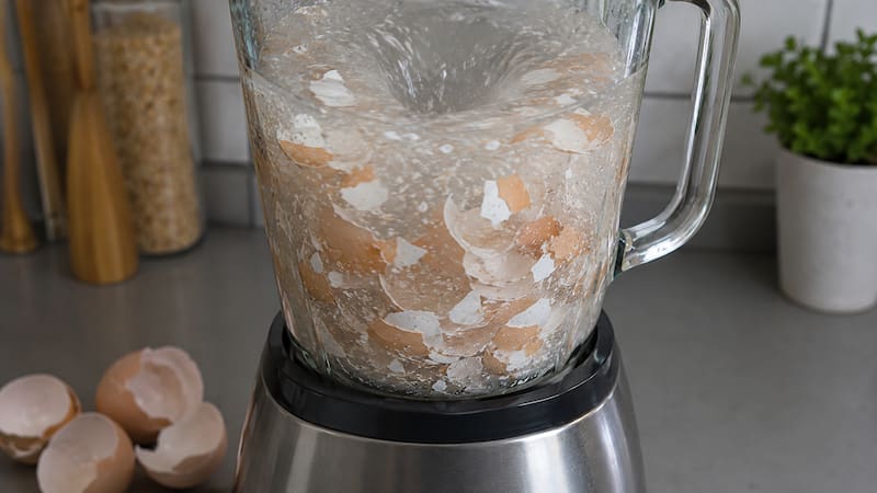 Licuar cáscara de huevo con vinagre: para qué sirve y por qué recomiendan hacerlo.