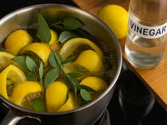 Es tendencia | Hervir cáscara de limón, eucalipto y vinagre: para qué sirve y por qué recomiendan hacerlo