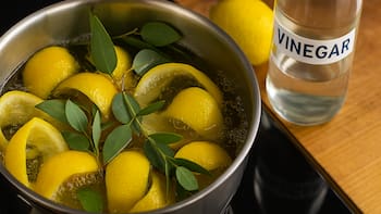 Es tendencia | Hervir cáscara de limón, eucalipto y vinagre: para qué sirve y por qué recomiendan hacerlo