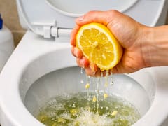 Tirar jugo de limón en el inodoro: por qué lo recomiendan y cada cuánto hay que hacerlo