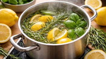 Hervir cáscara de limón, albahaca y romero: para qué sirve y por qué lo recomiendan