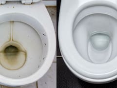 Ni vinagre ni bicarbonato | El ingrediente casero e barato para eliminar el sarro y las manchas del inodoro en minutos