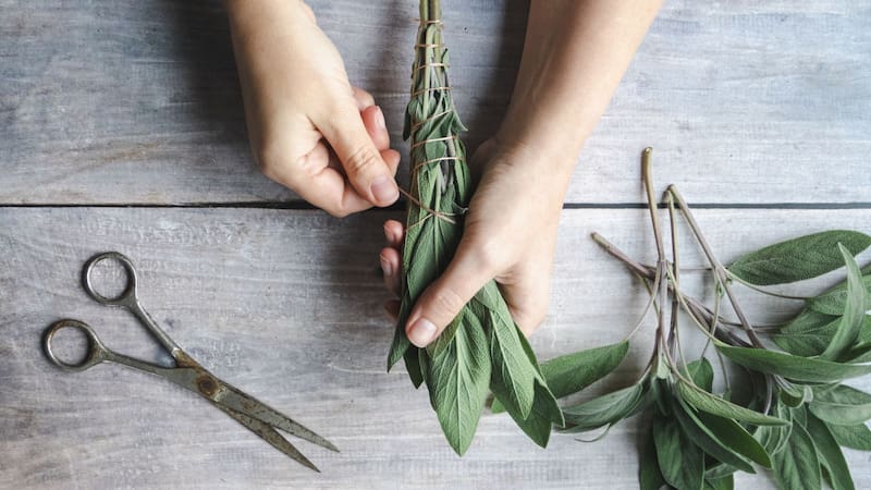 Cómo hacer la poderosa limpieza energética con hierbas. Fuente: Shutterstock.