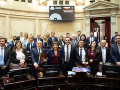 El Senado aprobó Inocencia Fiscal II y dio media sanción a biocombustibles: cómo quedó la letra chica