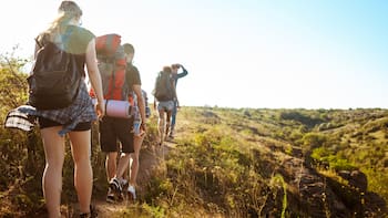Se despiden las mochilas: este nuevo bolso de Lidl es ideal para senderismo, gracias a su diseño cómodo y amplio espacio