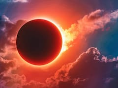 Llega el eclipse solar más largo del siglo: el extraño fenómeno astronómico que aparecerá bajo los árboles