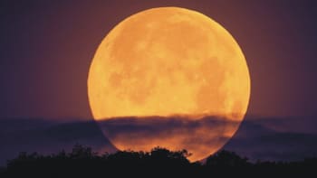 Llega la Luna llena de abril: cuándo y desde dónde se verá el fenómeno astronómico en el país