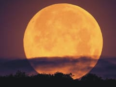 Llega la Luna llena de marzo: cuándo y desde dónde se verá el fenómeno astronómico en el país