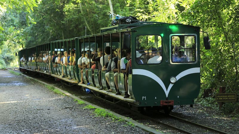Llegan las nuevas locomotoras eléctricas a Iguazú que revolucionan el tren de las Cataratas. Foto: Creative Commons