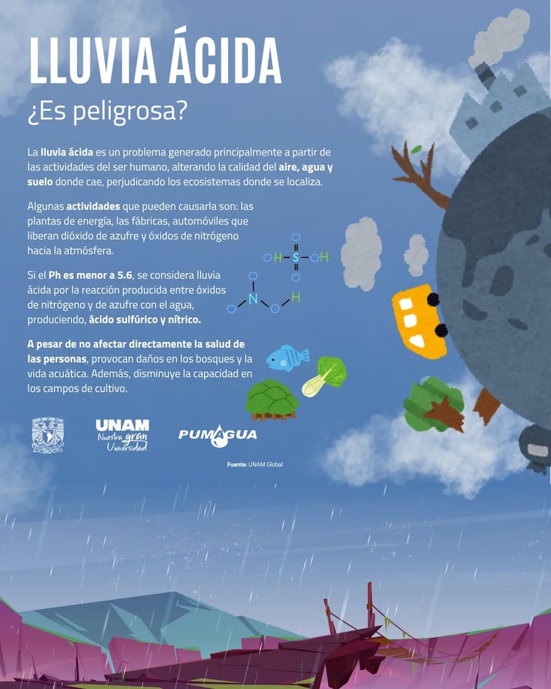 ILustración educativa