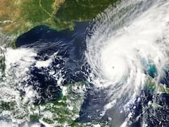 Se avecina un diluvio universal: será a mitad de semana y habrá 4 estados con lluvias heladas y alerta amarilla