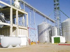 El oficialismo negocia ampliar el cupo de las pymes del biodiésel para destrabar su aprobación